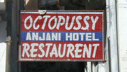 Octopussy seems to be a major tourist selling point for Udaipur.  There are a large number of rooftop restaurants that feature dinner and a free screening of Octopussy each evening.