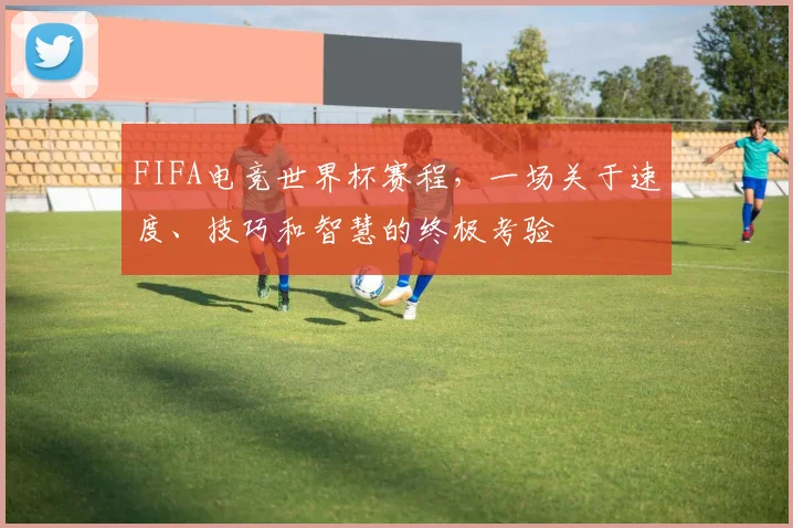 FIFA电竞世界杯赛程，一场关于速度、技巧和智慧的终极考验